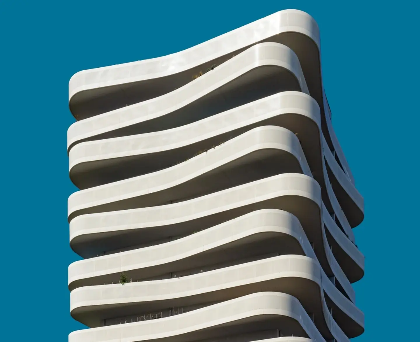 RSP-Executed Portfolio Project